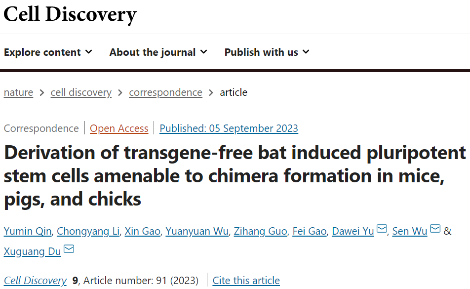 CELL DISCOV丨杜旭光/吴森等开发无转基因蝙蝠诱导的多能干细胞，适合小鼠、猪和小鸡形成嵌合体(图1)